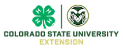 csu logo 2